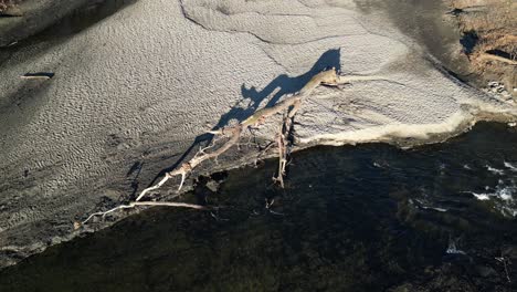 Vista-De-La-Cabeza-De-Un-Dron-De-Un-Estanque-Y-El-Flujo-De-Un-Río-Que-Está-Muy-Erosionado-Con-Un-árbol-Caído