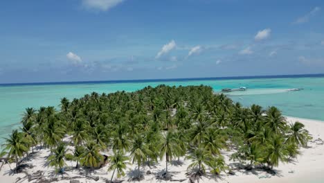 aerial dolly above tropical coconut palm trees reveals luxury bungalow and pier