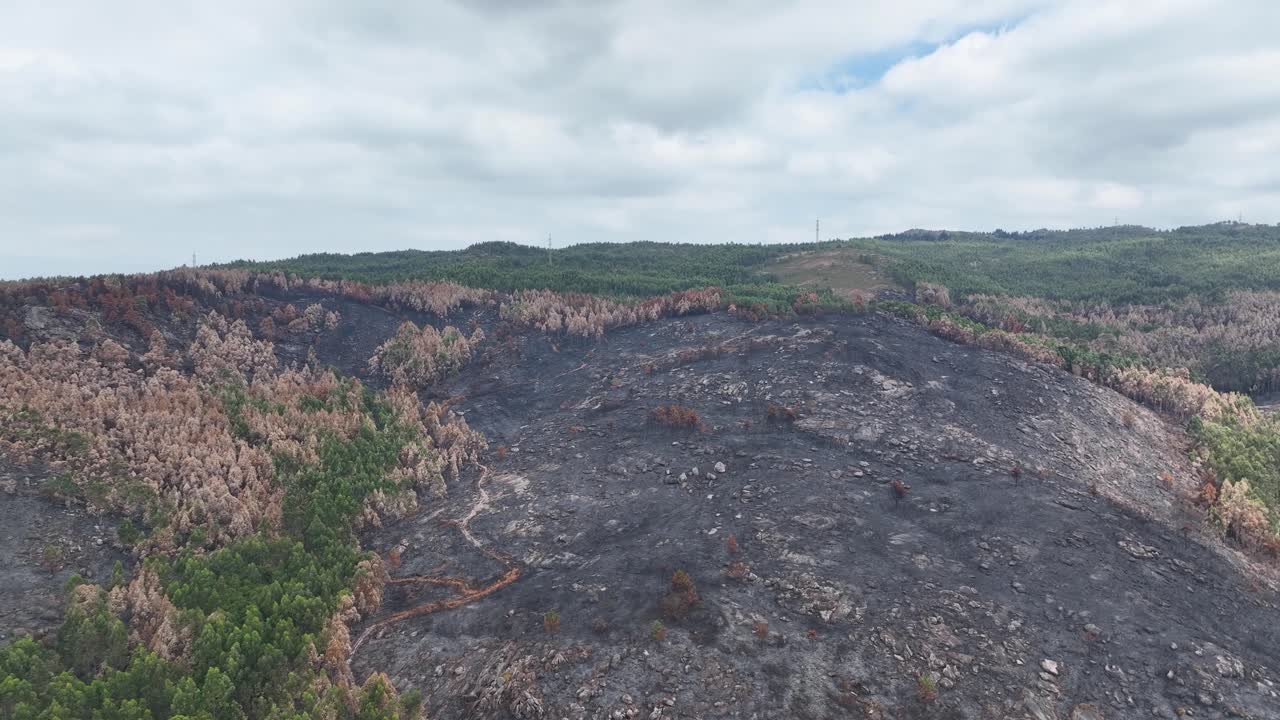toma aérea en movimiento hacia adelante sobre el bosque quemado muerto negro a lo largo de la ladera de la montaña después de un incendio forestal en un día nublado