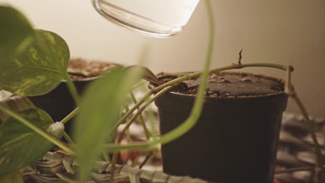 Watering-Pot-Of-Plant-Full-Of-Soil.-closeup