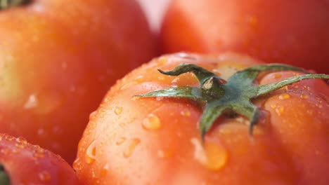 close-up of wet tomatoes