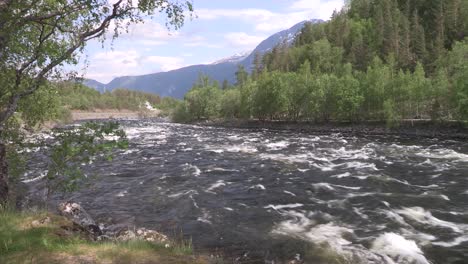 river in norway in fjell landscape