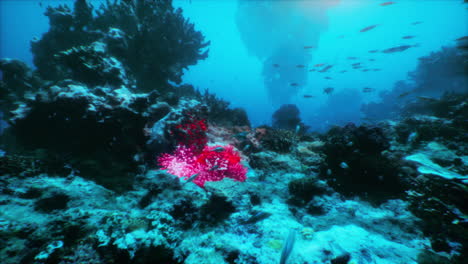 vibrant underwater coral reef scene with tropical fish