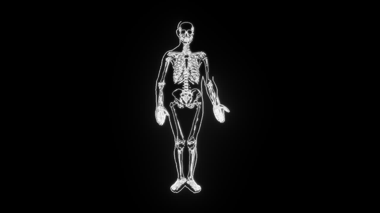 el cuerpo humano
