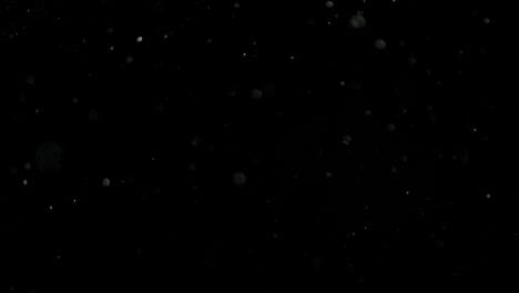 nieve en cámara lenta sobre un fondo negro