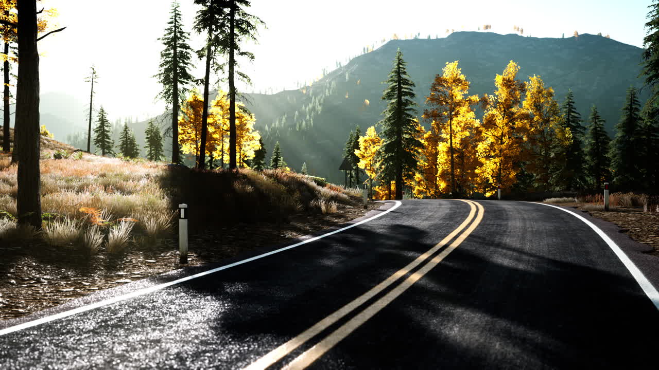 camino del bosque bajo los rayos del sol al atardecer