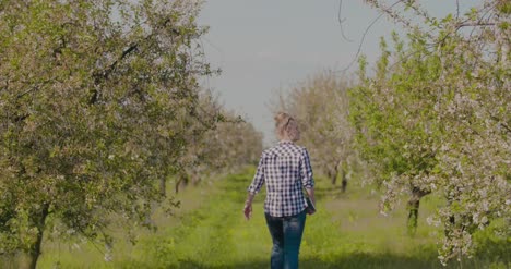 Agronomist-Or-Farmer-Examining-Blossom-Branch-In-Orchard-3