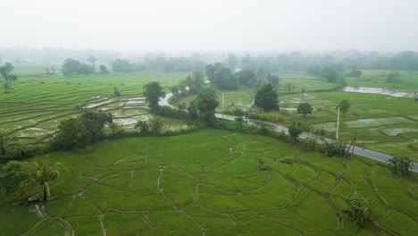 Car-traveling-down-a-wet-and-windy-back-road-in-the-central-province-of-Sri-Lanka-with-misty-trees-in-the-background