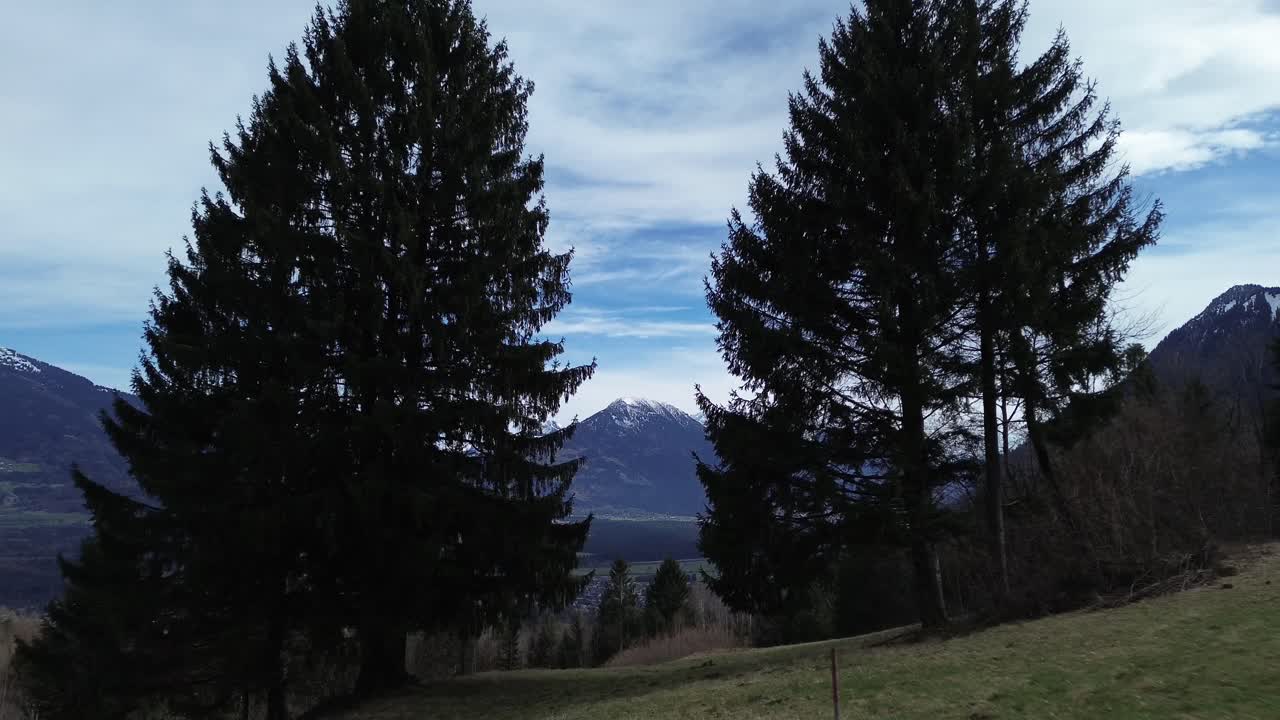 el dron vuela entre dos pinos y revela una vista impresionante sobre el paisaje de las montañas nevadas y el paisaje urbano en vorarlberg, austria.