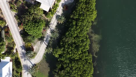 tropical forest of nelson dockyard view from above near english harbour in antigua. aerial, top-down shot