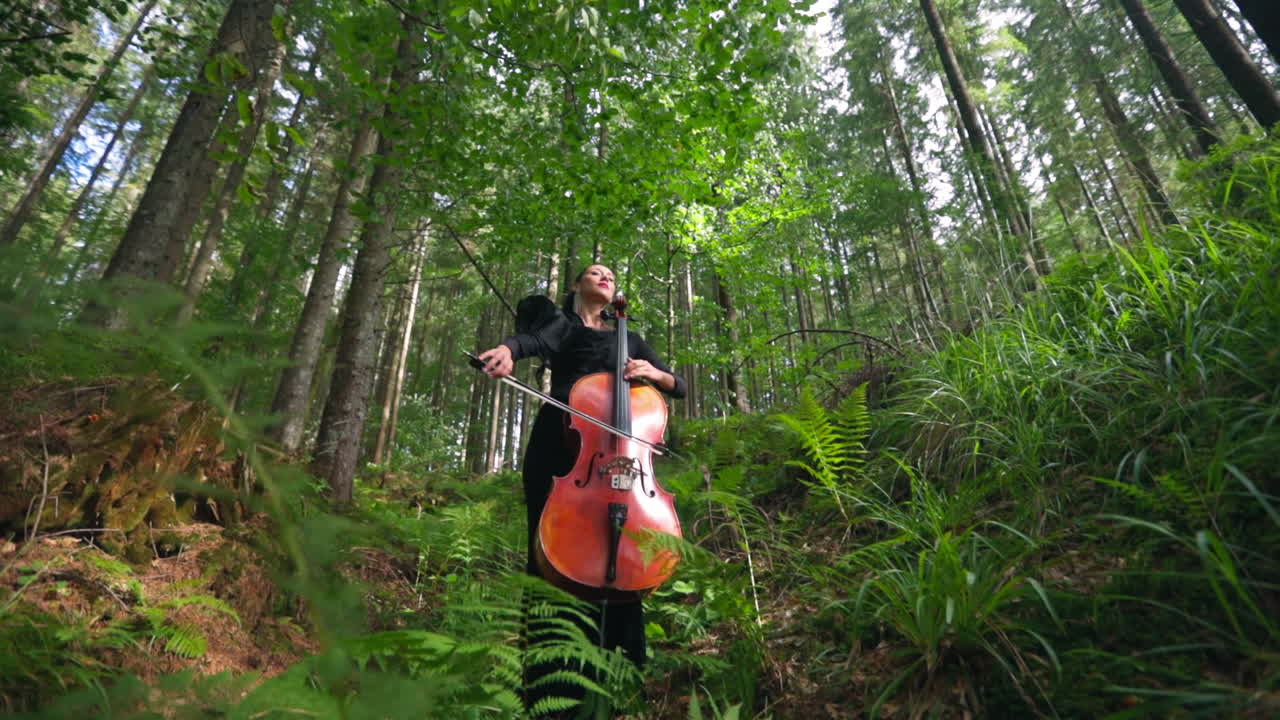Pretty female with stringed instrument. Large cello in woman's hands in the forest. Beautiful lady in long black dress performs music among nature. View from below.