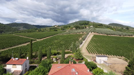 Tuscany-province,-Italian-countryside-green-vineyard-covered-hills-on-cloudy-day