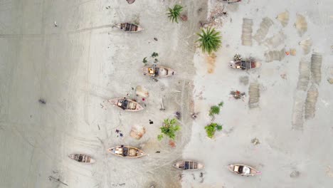 Barcos-Tradicionales-En-Una-Playa-De-Arena-Con-Agua-Clara-Y-Palmeras-Dispersas,-Vista-Aérea