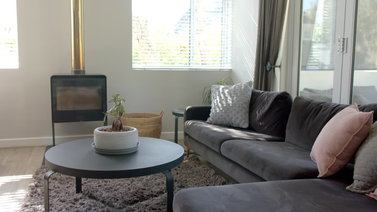 Modern living room with cozy gray sofa, coffee table, and indoor plant