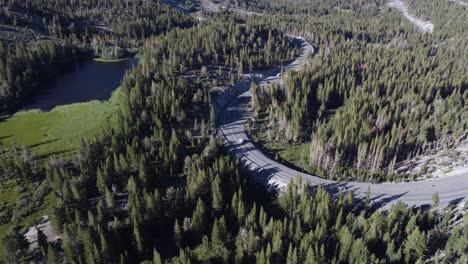 toma aérea de drones de autos conduciendo por un camino sinuoso en el bosque