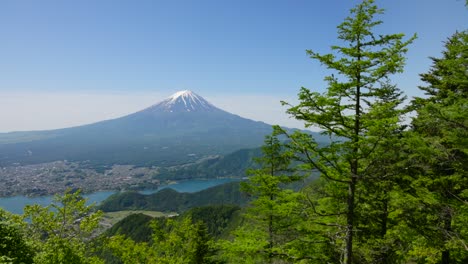 mt. fuji and lake kawaguchi seen from the fresh green shindo pass