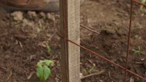 twisting the wire around a wood pole for fencing - close up