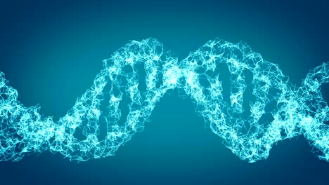 dna code. abstract 3d polygonal wireframe dna molecule helix spiral. loop animation.