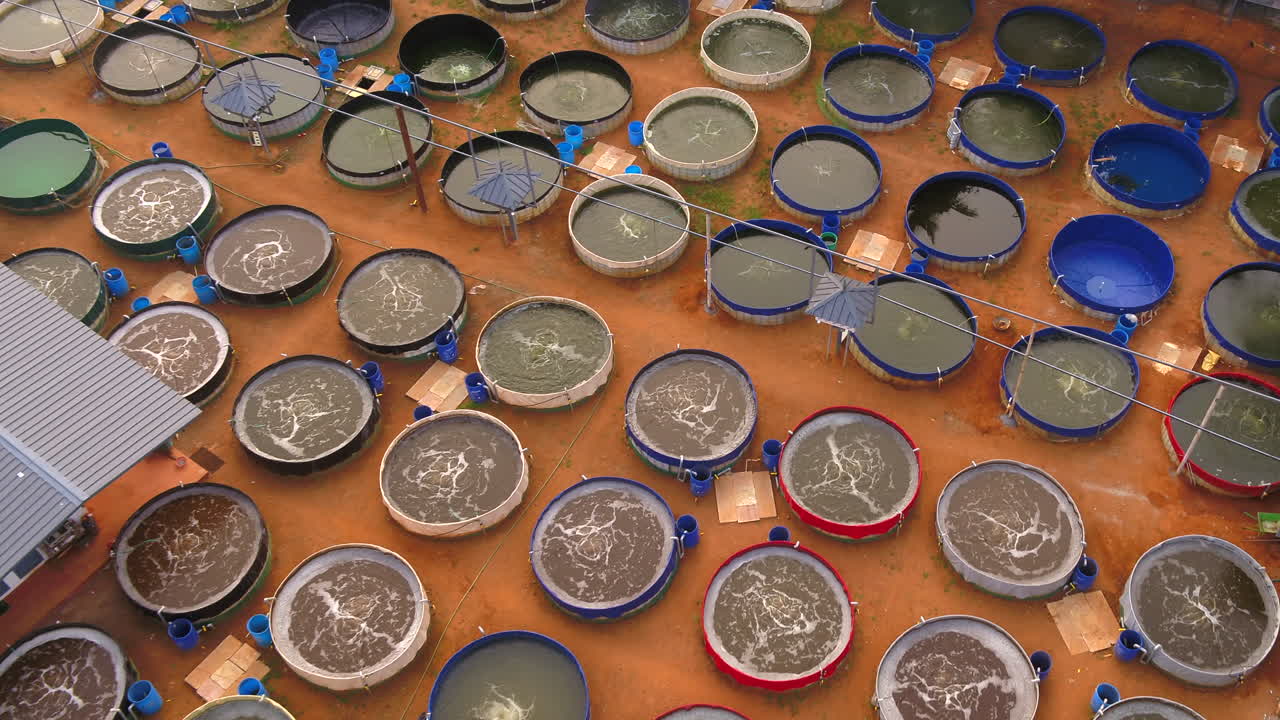 바이오플록 생선 양육 케랄라, 인도