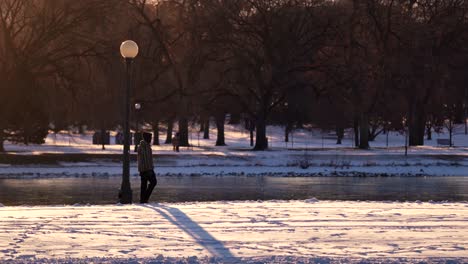 walking in park against a background of warm light