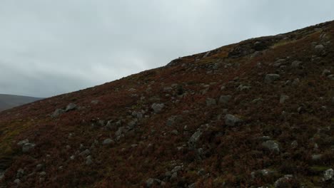 Revealing-aerial-shot-of-mountainous-grasslands-in-Ireland-during-an-overcast-day