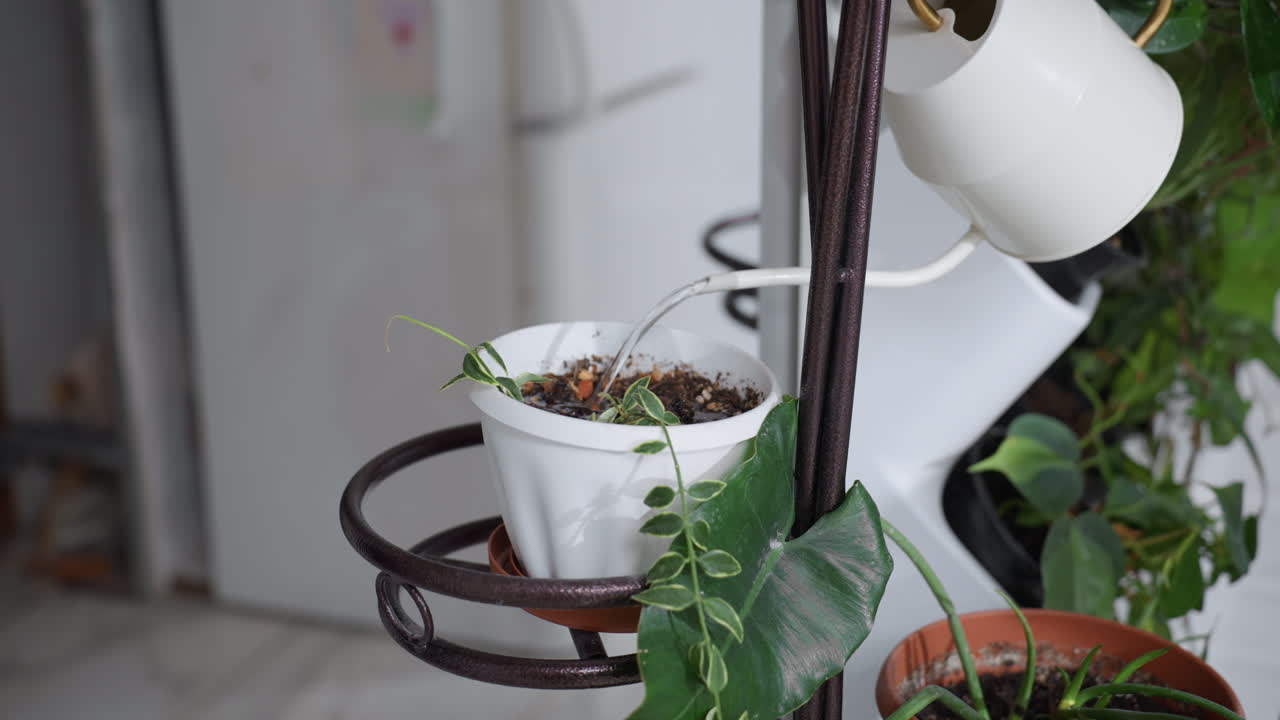 Gardener carefully pouring water from sleek metal kettle onto vibrant houseplant perched on ornate iron stand against cozy white brick backdrop capturing serene indoor gardening moment
