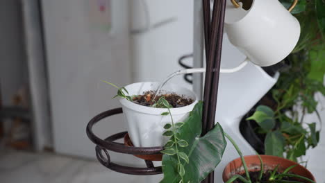 gardener carefully pouring water from sleek metal kettle onto vibrant houseplant perched on ornate iron stand against cozy white brick backdrop capturing serene indoor gardening moment