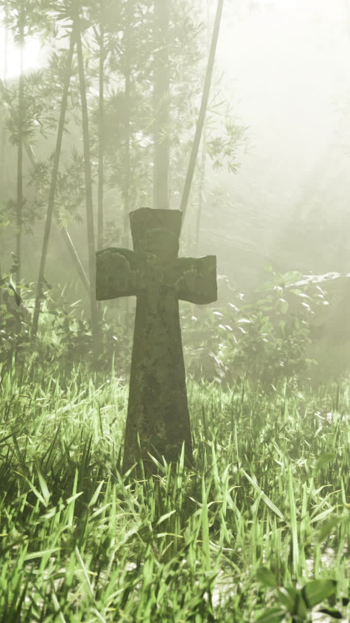 Grave marker stands in misty forest surrounded by tall grass and sunlight