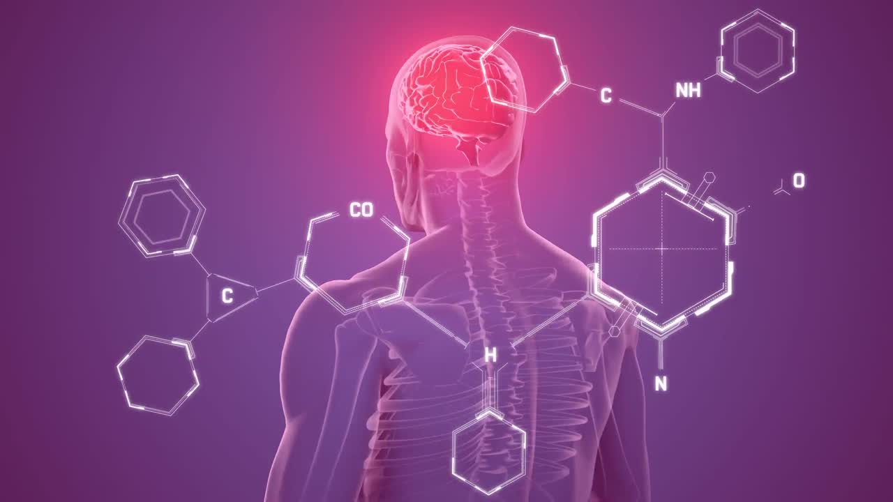 animación de estructuras químicas sobre un modelo giratorio del cuerpo humano con un cerebro en fondo púrpura