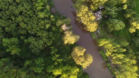 Kleine-Wasserstraße-Im-Amazonas-Regenwald-Bei-Sonnenuntergang---Ansicht-Von-Oben