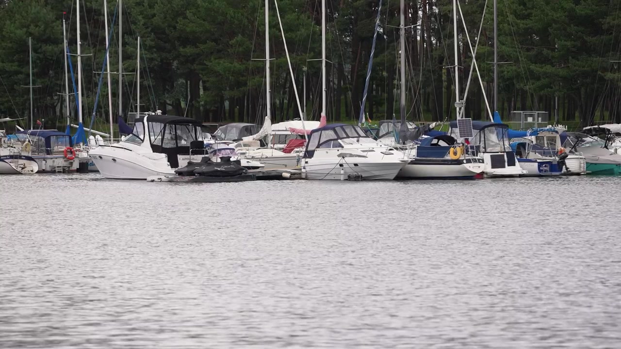 Wide angle footage shows motorboats and sailboats docked in a tranquil marina, water gently rippling in the foreground, lush pine trees behind, overcast diffused daylight, steady shot.