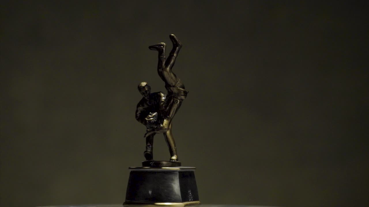 Bronze Wrestling Trophy
