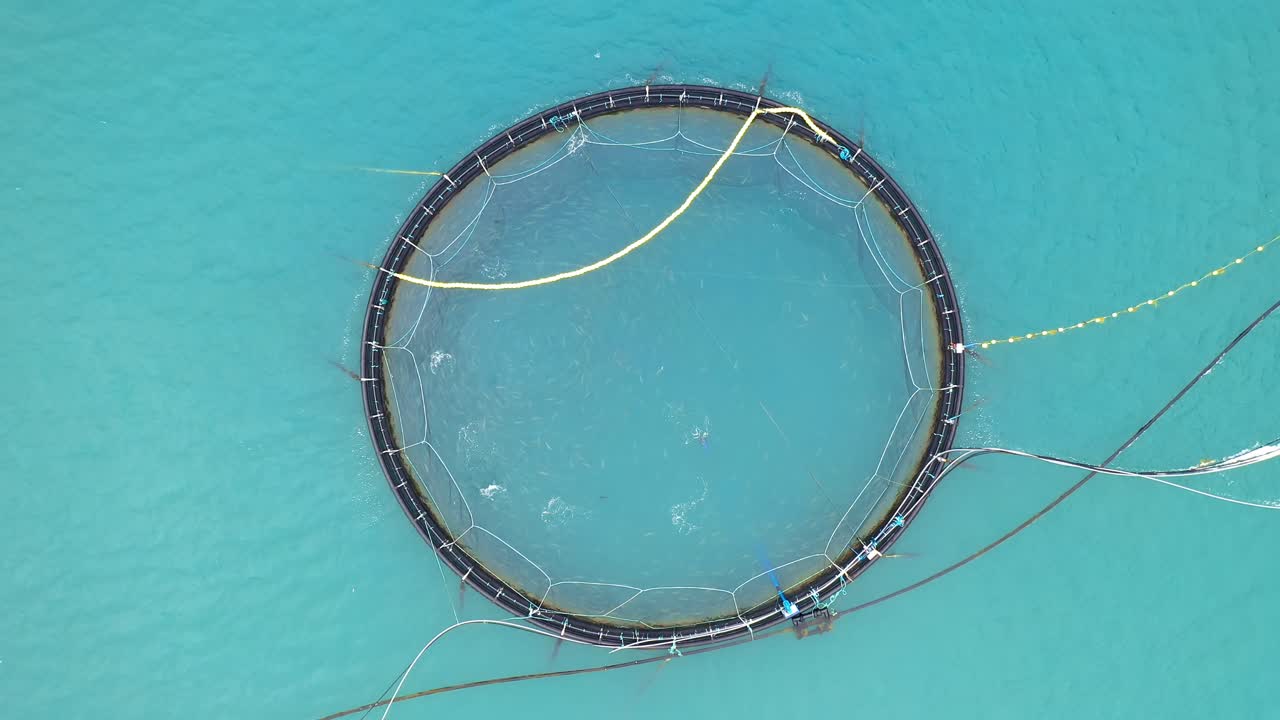 imágenes aéreas de granjas de pesca de salmón en noruega