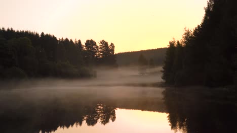 a beautiful sunrise over a woodland lake with reflections