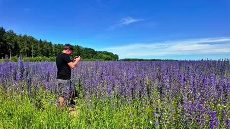 Man-is-making-photos-and-videos-of-a-field-with-purple-flowers-with-a-blue-sky-on-a-sunny-day,-slowmotion-with-copy-space