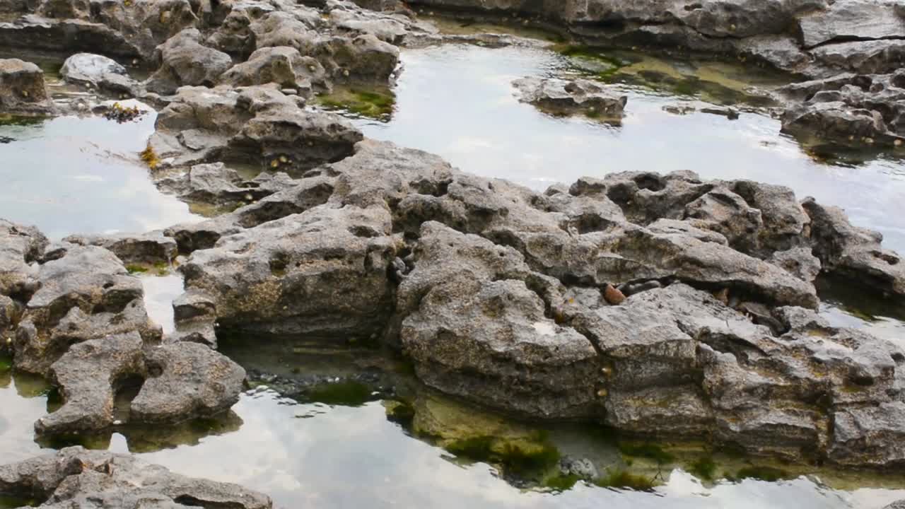 Primo piano di pozze d'acqua rocciose con muschio in una giornata nuvolosa