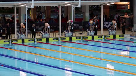 swimmers dive and race in an indoor swimming competition