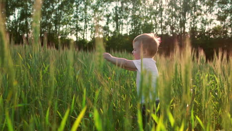 Un-Niño-Va-Al-Campo-Con-Orejas-A-La-Luz-Del-Atardecer-Para-Encontrarse-Con-Su-Madre