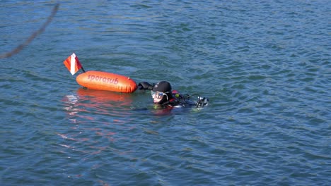 a diver swims out to sea with his red rescue buoy