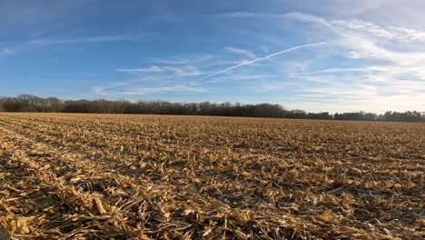 rear point of view - driving through a harvested corn field late autumn in the american midwest