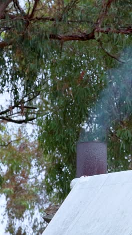 smoke gently rises from a chimney against a backdrop of trees, creating a serene outdoor scene in melbourne