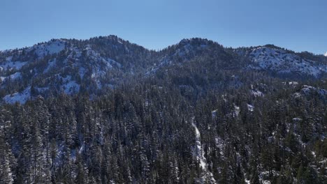 -Aerial-view-of-forest-landscape-after-first-snowfall-in-pine-tree-forest-,-winter-is-cold-and-snowy