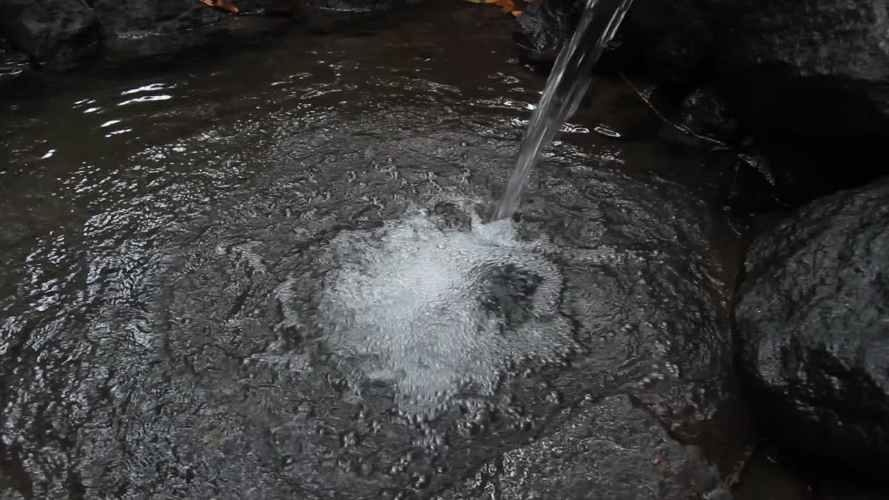 파이프에서 흐르는 숲 한가운데 있는 담수 - 대나무