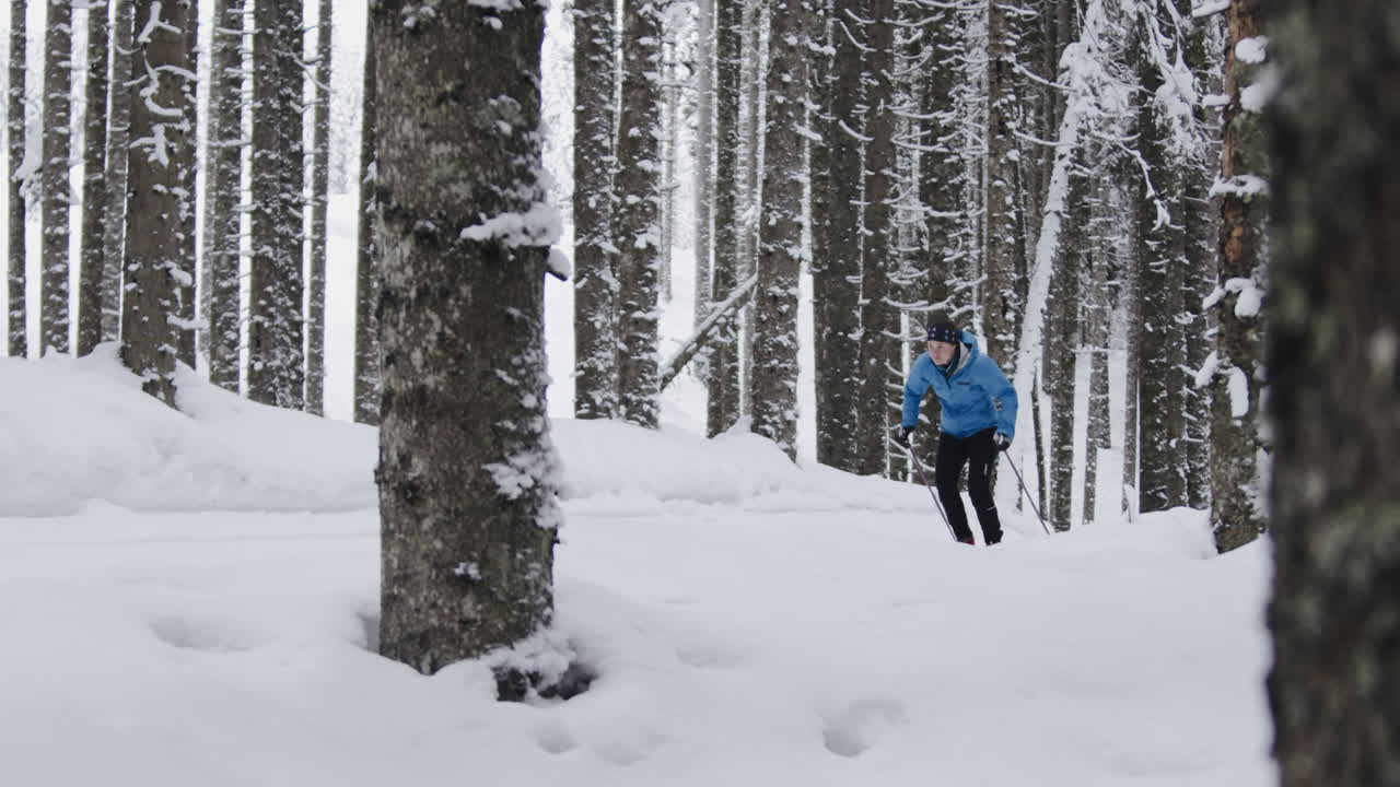 Person Cross-Country Skiing in Snowy Forest