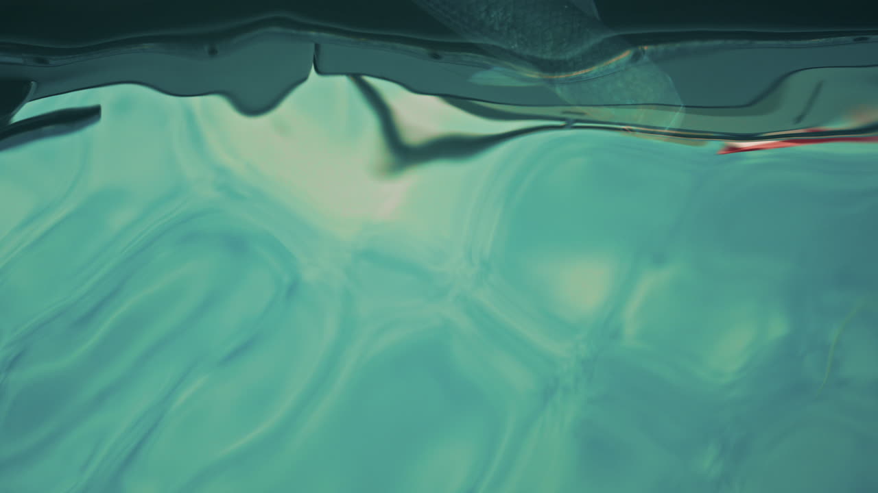 A fish glides beneath the water surface, captured through rippling reflections that distort its shape in soft turquoise tones