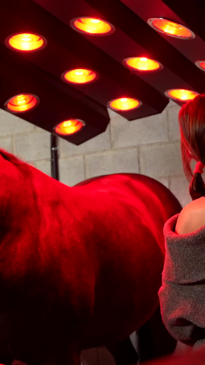 Red Light Therapy for Horses with Woman