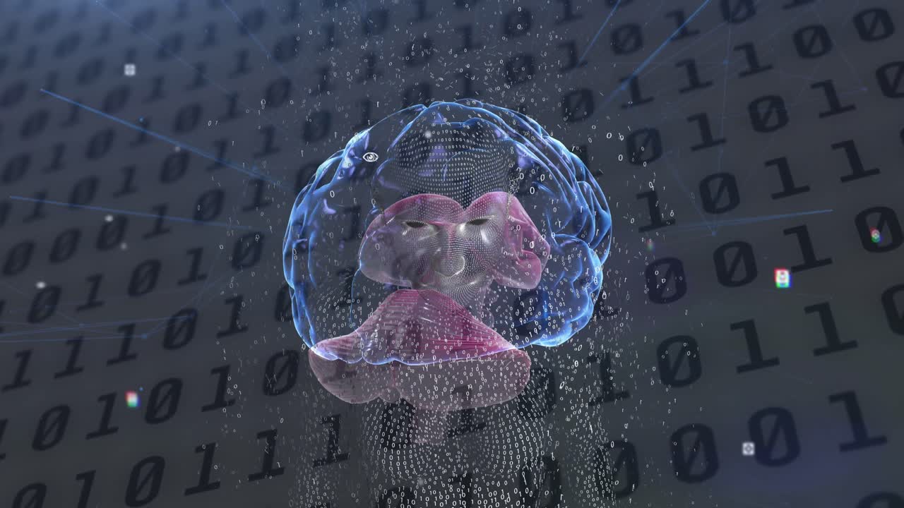 Male human body model and human brain against binary coding data processing on grey background