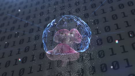 male human body model and human brain against binary coding data processing on grey background