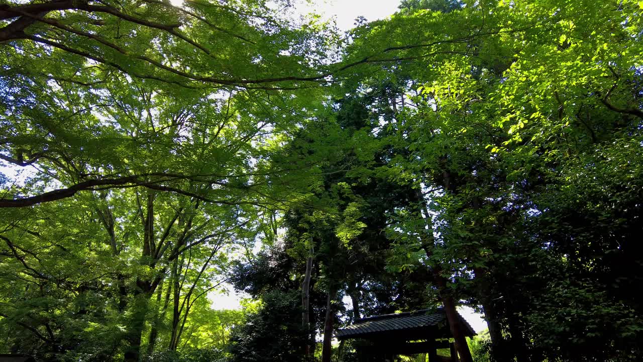 도쿄의 아름다운 공원