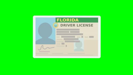 a hand presents a florida driver's license (flat design)